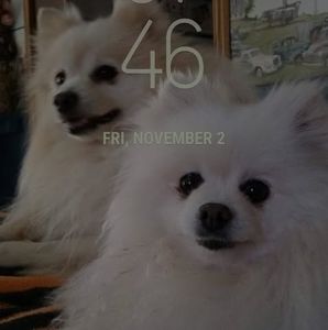 Meet your Posher, Tammy